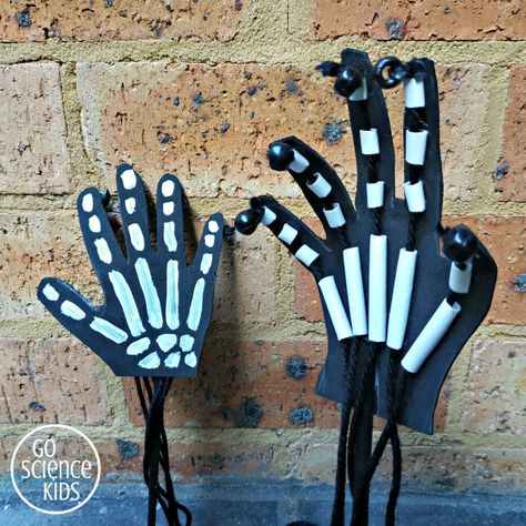 How to Make an Articulated Skeleton Hand – Lesson Plans Hand Bone Structure, Dementor Costume, Skeleton Crafts, Articulated Hand, Articulated Skeleton, Skeleton Craft, Science Kids, Cool Science, Christmas Science