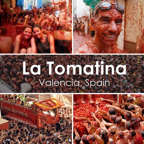 Have you ever thrown some juicy tomatoes at your best friend?    Tthe famous "La Tomatina" - the worlds biggest tomato fight close to Valencia, Spain! Tomatina Festival, La Tomatina Festival, La Tomatina, Big Tomato, Valencia City, Food Fest, Ap Spanish, Spanish Culture, Festivals Around The World