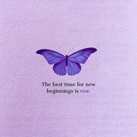 Beautiful Butterflies Quotes, Mean Girl Quotes, Funny Motivation, Positive Quotes Wallpaper, Purple Quotes, Diy Photo Book, Magical Quotes, Inspirtional Quotes, Butterfly Quotes