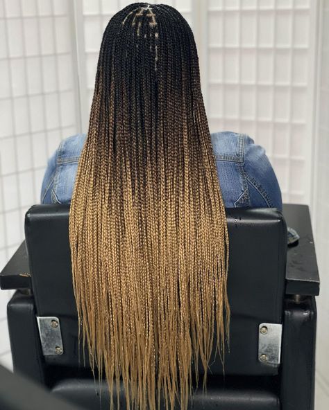 Shallow Hairstyle, Ombre Blonde Knotless Braids, Color Senegalese Twist, Knotless Braids Ombre, Ombré Knotless Braids, Rasta Braids, Box Braids Ombre, Natural Hair Box Braids, Lemonade Braids Hairstyles