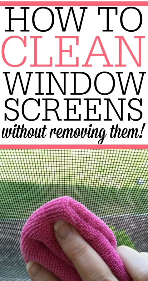 Clean Window Screens, Cleaning Window Screens, Pallet Desk, Clean Window, Homemade Toilet Cleaner, Hardwood Floor Cleaner, Cleaning Painted Walls, Glass Cooktop, Deep Cleaning Tips