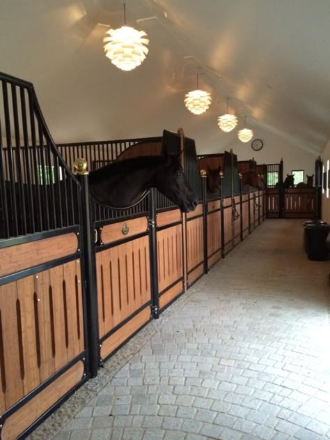 Luxury Horse Stables, Luxury Horse Barns, Dream Barn Stables, Horsey Life, Horse Riding Aesthetic, Horse Barn Ideas Stables, Horse Barn Designs, Dream Stables, Dream Horse Barns