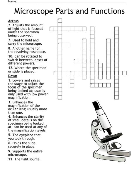 Microscope Parts And Functions, Microscope Parts, Cell Parts, Target Language, New Puzzle, Crossword Puzzles, Learn A New Language, Reading Levels, Word Doc