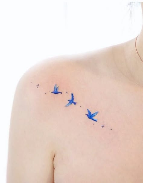 Smal birds tattoo on the shoulder by @vane.tattoo_ Tiny Tattoos Bird, Tiny Bird Tattoos For Women Finger, Bird With Stars Tattoo, Bluebird Shoulder Tattoo, Birds And Stars Tattoo, Small Bird Tattoos For Women Shoulder, Birds Shoulder Tattoo, Colored Bird Tattoos, Bird And Star Tattoo