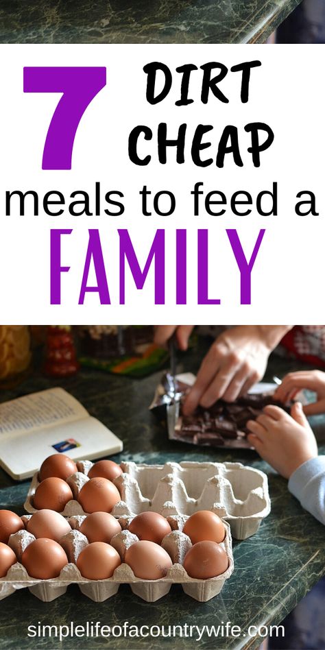 Family Cheap Meals, Easy Toddler Lunches, Struggle Meals, Dirt Cheap Meals, Easy Cheap Dinner Recipes, Cheap Snack, Frugal Meal Planning, Cheap Family Meals, Frugal Food