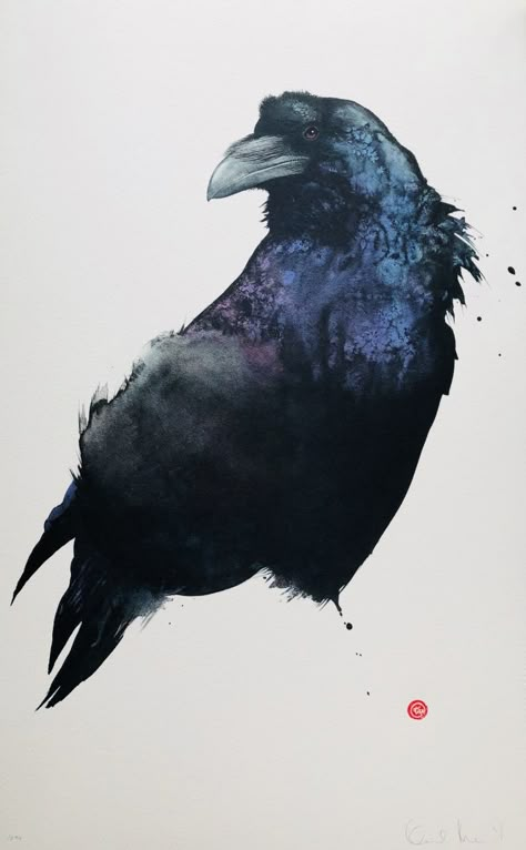 Karl Martens, Magpie Art, Crows And Ravens, Bird Watercolor Paintings, Crow Art, Watercolor Birds, Black Birds, Watercolour Inspiration, Crows Ravens