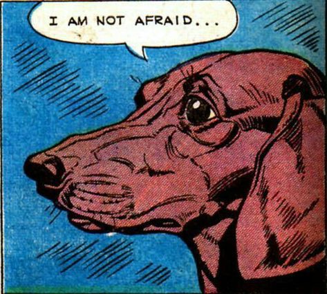 Out Of Context Comic Panels, Vintage Comic Panels, Old Comics Aesthetic, Absurd Art, Dogs In Space, Retro Comic Art, Comic Pop Art, I Am Not Afraid, Comic Book Panels