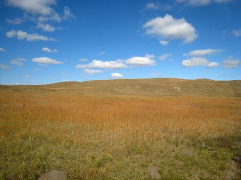 The Nebraska Sandhills are one of the largest plant-anchored sand dune regions in the world, and the largest sand dune formation in the Western Hemisphere. The dunes sit atop the Ogallala Aquifer, resulting in thousands of little lakes and ponds in lower-lying areas. Sandhills Nebraska, Nebraska Sandhills, Farm Land, Gorgeous Scenery, Scenic Byway, Scenic Drive, The Dunes, The Land, Travel Usa