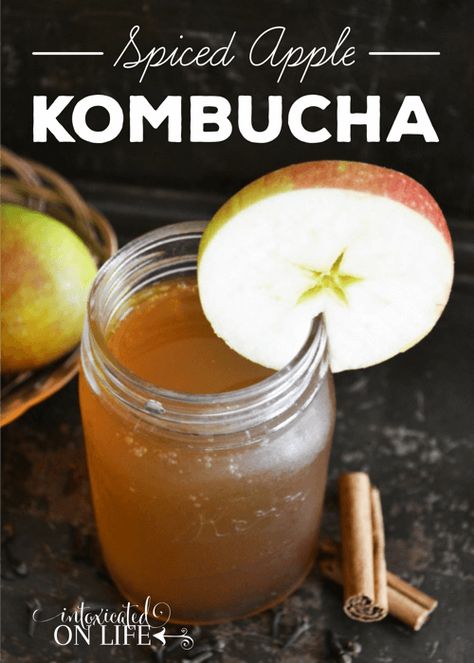 Spiced Apple Kombucha Recipe Fall Kombucha Flavors, Apple Kombucha Recipe, Fermented Soda, Fermented Beverages, Kombucha Recipes, Kombucha Drink, Kombucha Flavors, Paleo Drinks, Kombucha Recipe