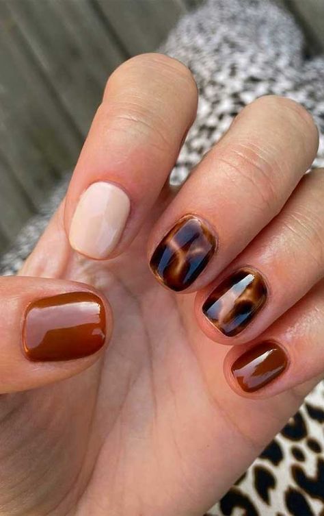 Autumn Nails Inspo Short, Brown Biab Nail Designs, Fall Nails Pattern, Brown Nails Sns, Tortoise Nails Short, Short Mismatched Nails, Short Nails Ideas Brown, Tortus Nail Designs, Muted Nail Designs