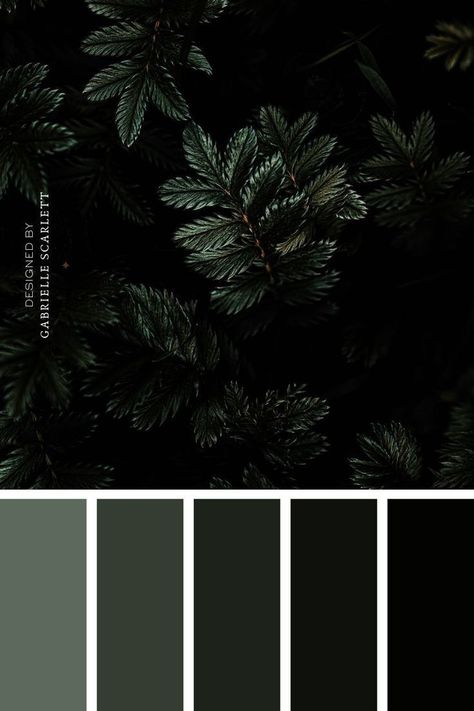 Cool Dark Color Palette, Herbal Branding, Black And Green Color Palette, Dark Green Color Palette, Dark Academia Color Palette, Skin Room, Fashion Profile, Winter Wedding Color Palette, Green Branding