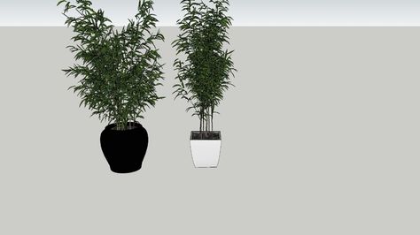 Bambus - 3D Warehouse Juice Bar Interior, Warehouse Architecture, Mini Loft, 3d Tree, Sketchup Model, Fit Girl Motivation, Best Indoor Plants, Bar Interior, Village House Design