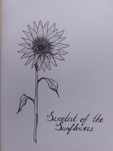 Sunflower. You Are The Sun To Me Zach Bryan, Zach Bryan Sun To Me Lyrics, Sweetest Of The Sunflowers Tattoo Zach Bryan, Sweetest Of The Sunflowers Tattoo, Zach Bryan Drawing Ideas, Sun To Me Tattoo Zach Bryan, Zach Bryan Drawings, Sun To Me Zach Bryan Tattoo, Western Captions