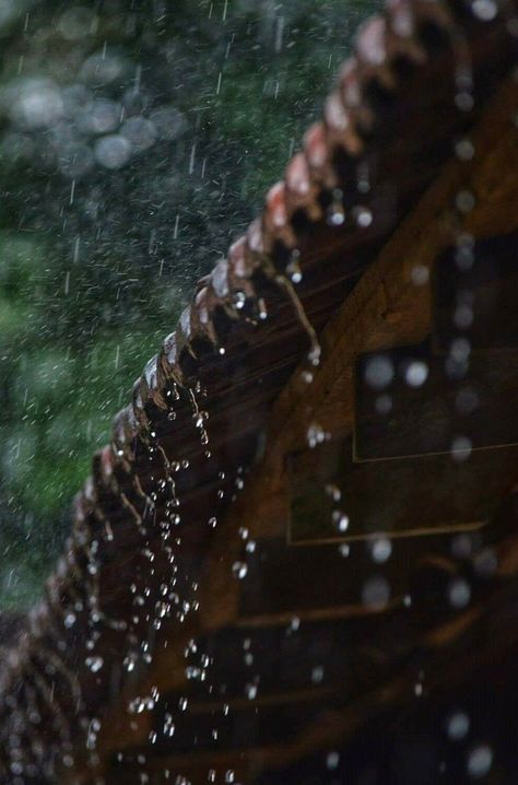 Rainy Day Aesthetic Kerala, Rain In Kerala Photography, Rainy Day Kerala, Rain Kerala Photography, Aesthetic Kerala Pictures, Indian Monsoon Aesthetic, Kerala Aesthetic Wallpaper, Indian Rain Aesthetic, Mazha Kerala Photography