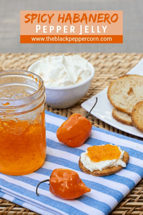 Haberno Jelly Recipes, Habanero Recipes Pepper Jelly, Habenero Jelly Recipe, Habanero Jelly Canning, Habanero Jam Recipes, Habenero Recipes Canning, Things To Make With Habanero Peppers, Canning Habanero Recipes, Ball Jelly Maker Recipes