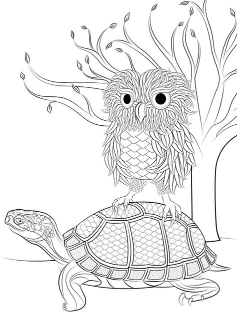 Owl and turtle design Turtle Design, Owl Tattoo, Turtles, Owls, Tattoo Ideas, Snoopy, Tattoos, Fictional Characters, Art