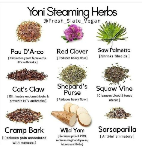 Herbal Steam, Womb Healing, Medical Herbs, Magic Herbs, Feminine Health, Natural Healing Remedies, Herbal Healing, Herbal Magic, Herbs For Health