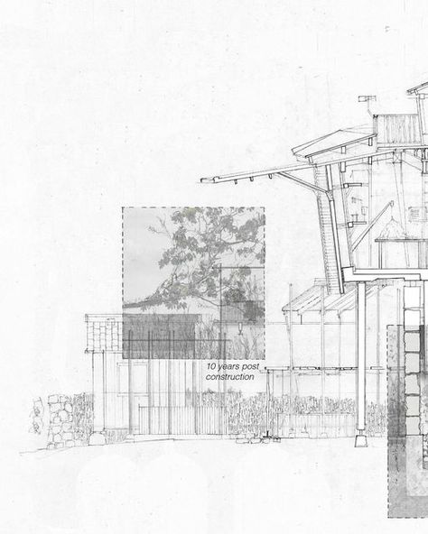 Architecture Student Work on Instagram: "@architecturedotstudio repost @gabe.3dm Section, Milestone 20 years post construction. The ground floor will be left alone allowing nature to reclaim the space, becoming an example of rewilding for observations ‘Milestone’ looks to connect scientists and visitors with flora (above fauna) through a rewilding research ecology centre that includes a variety of habitats under different levels of control, with some areas wilder than others. It is suggestive of the past as well as the future and will move with the ever-changing climate. Y3 MEng - Unit 3 #arch #architecturedotstudio #architecture #architecturestudent #architecturestudentblog #architecturestudio #architecturedrawing #architecturemodel #studentwork #architectureportfolio #architectur Rehabilitation Center Architecture, Colour Architecture, Observational Drawing, Rehabilitation Center, Architecture Student, Left Alone, Architecture Portfolio, Student Work, Architecture Model