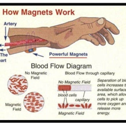 Magnet Therapy, Natural Beauty Care, Womens Health Magazine, Health Class, Health Guru, Health Trends, Workout Motivation Women, Pregnancy Health, Health Motivation