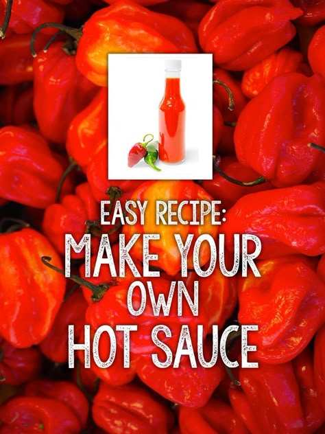 Grow Your Own Hot Sauce with Peppers or Chiles from your garden seeds Pickled Hot Peppers, Hot Pepper Recipes, Hot Sauce Recipe, Pepper Sauce Recipe, Homemade Hot Sauce, Habanero Hot Sauce, Hot Sauce Recipes, Pepper Recipes, Canning Ideas