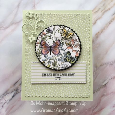 Dsp Cards, Stampin Pretty, Su Cards, Friendship Cards, Butterfly Cards, Stamping Up Cards, Fit Ideas, Card Layout, Top Ten