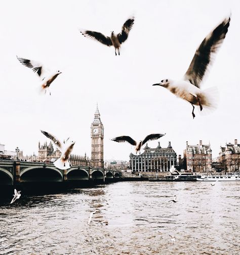 London Aesthetic, Fotografi Vintage, Taylor Swift Album, Aesthetic Themes, Poets, Big Ben, Mood Boards, Monument, Places To Go