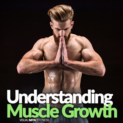 Understanding Muscle Growth Healthy Food For Muscle Growth, Grow Muscle Fast, Muscle Growth Workout, Food For Muscle Growth, Fast Muscle Growth, Types Of Muscles, Muscle Tone, Muscle Growth, Muscle Mass