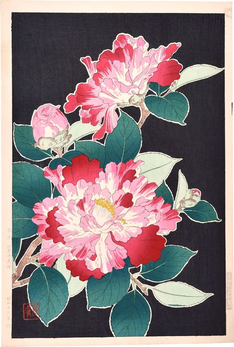 Peony Japanese, Botanical Floral Prints, Japanese Woodblock, Japanese Woodblock Printing, Japan Art, Woodblock Print, Botanical Illustration, Asian Art, Japanese Art