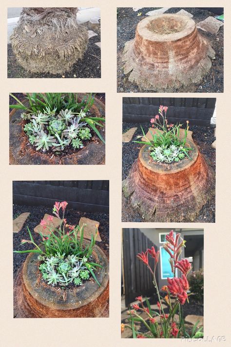 It started as a dull palm tree stump and turned into a beautiful succulent creation! Stump Planter, Gardening Design Diy, Tree Stump Planter, Landscaping Rock, Trees For Front Yard, Tree Stumps, Video Garden, Outdoor Aesthetic, Garden Makeover