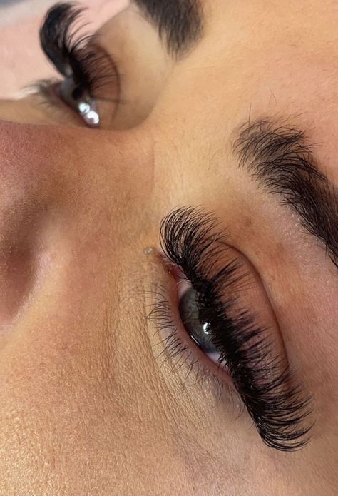 Hybrid D Curl Lash Extensions, D Curl Hybrid Lashes, Career Plan, Hybrid Lashes, Best Lash Extensions, Eyelash Extensions Styles, Lash Extensions Styles, Perfect Eyelashes, Pretty Lashes