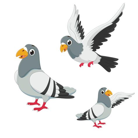 pigeon cartoon collection set. vector illustration Pigeon Cartoon, Cartoon Pigeon, Pigeon Cartoon Drawing, Pegion Bird Illustration, Pigeon Illustration, Animated Pigeon, Wood Pigeon Illustration, Pigeon Pictures, 3d Cartoon