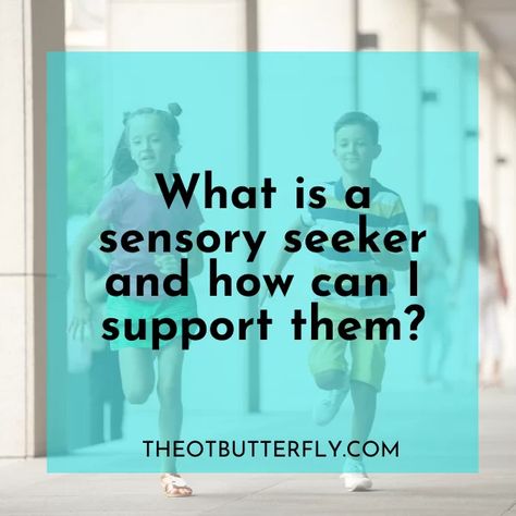 What is a Sensory Seeker and How Can I Support Them? - Sensory Seeker Vs Sensory Avoider, Sensory Dysregulation, Sensory Seeker Activities, Brain Nervous System, Sensory Seeker, Sensory Diet, Sensory Board, Infp Personality, Sensory Boards