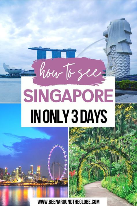 Places To Visit In Singapore, Singapore Vacation, Singapore Travel Tips, Places In Singapore, Singapore Guide, Singapore Itinerary, Singapore City, Visit Singapore, Visit Asia