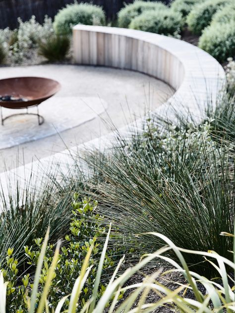 Wolveridge Architects, Australian Native Garden, Australian Garden, Coastal Gardens, Garden Architecture, Have Inspiration, Native Garden, Garden Landscape Design, Terrace Garden