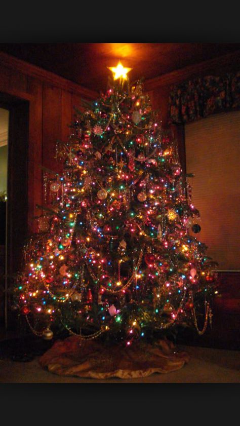 Love this color I always use these colors for my tree Colored Lights, Christmas Tree Inspiration, 12 December, Bright Christmas, Beautiful Christmas Trees, Colorful Christmas Tree, Christmas Scenes, Vintage Christmas Tree, Noel Christmas