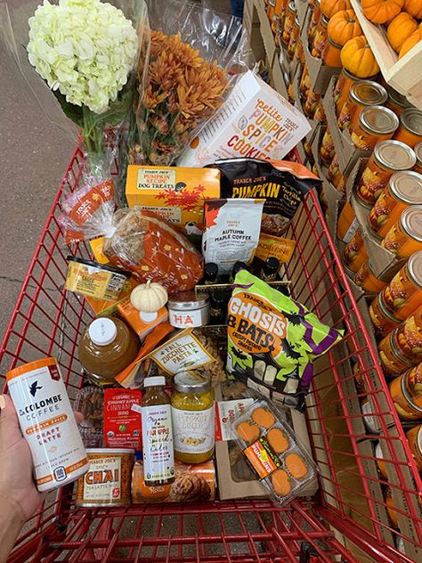 Halloween Trader Joes, Trader Joe’s Fall Items, Trader Joe’s Halloween, Trader Joe’s Grocery Haul, Trader Joes Fall 2023, Fall Trader Joe’s, Trader Joe’s Haul, Fall Night In, Fall Groceries