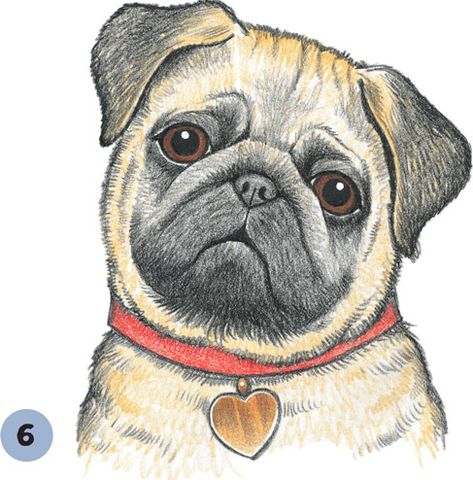 Pug Puppy - Dogs & Puppies [Book] Pug Cartoon, Pug Tattoo, Pug Illustration, Dog Portraits Art, Puppy Drawing, Pug Art, Puppy Art, Pug Puppies, Cute Pugs