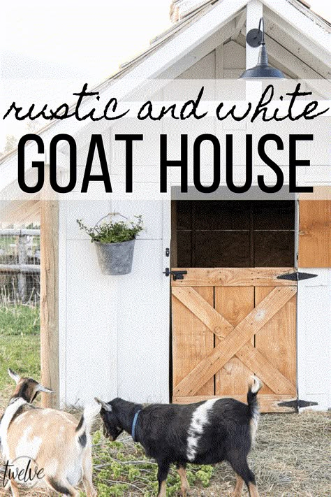 Check out this amazing simple and stylish white and rustic goat house! Looking for goat shed ideas? Small Livestock Barn, Goat Shed Ideas, Goat Playground, Backyard Design Ideas Layout, Backyard Design With Pool, Livestock Barn, Goat Shed, Goat Shelter, Goat Pen