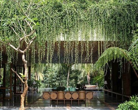 'the library' houses a luxurious showroom for collectible cars in hong kong Bernardo Bader, Bamboo Panels, Tropical Architecture, Tropical Background, Natural Scenery, Brick And Stone, Ubud, Contemporary Architecture, The Line