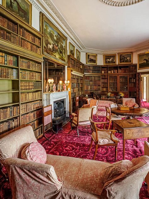 Regency Library, Calke Abbey, Library Fireplace, Library Study Room, British Houses, Old Manor, Dream Library, Stately Homes, Book Room