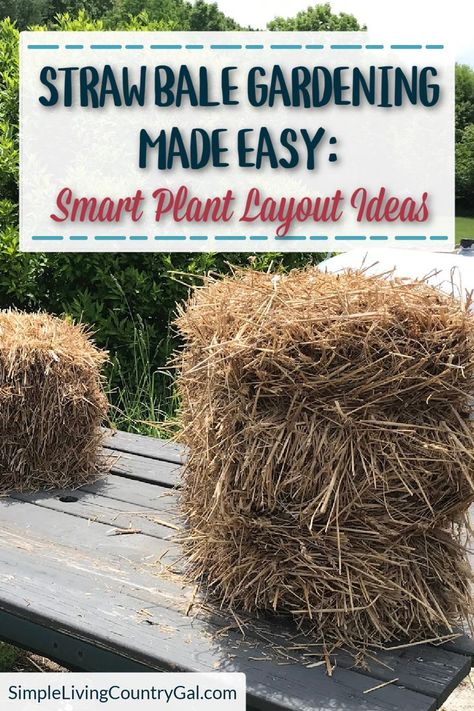 Get ideas to help you maximize the space in a straw bale garden. Learn how to plan an optimal layout that takes into account the positioning of plants, companion planting, and efficient use of resources like water and light. Get creative with your design while still making sure it benefits the health and yield of your veggies! With this guide, you can make your garden look beautiful and provide a plentiful bounty. Straw Bale Gardening Layout, Garden Plant Layout, Plant Layout, Strawbale Gardening, Straw Bale Garden, Garden Planning Layout, Grow A Garden, Straw Bale Gardening, Zucchini Plants