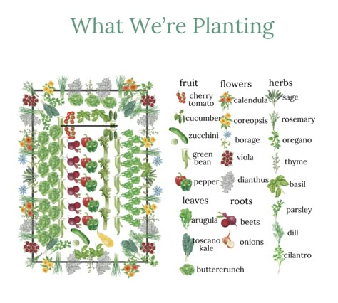 Shea Mcgee Kitchen, Gardening Layout Ideas, Raised Garden Ideas, School Garden Ideas, Kitchen Garden Ideas, Gardening Layout, Homestead Layout, Vegetable Beds, Vegetable Garden Beds