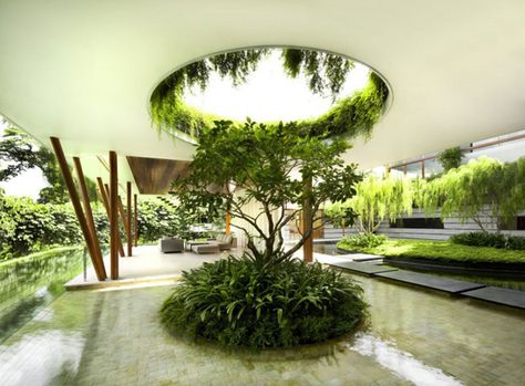 Modern Singapore oasis embracing nature: Willow House Middle East Garden, Willow House, Minimalist Garden, Luxury Garden, Green Architecture, Patio Interior, Rooftop Garden, Design Exterior, Hanging Garden