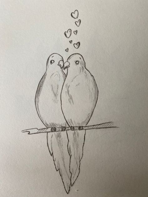 #pencilsketch #drawing #pencildrawing #lovebirds Loving Two People, Easy Bird, Sketches Of Love, Drawing Inspo, Sketches Easy, Bird Drawings, Pencil Sketch, Art Drawings Sketches, Love Birds