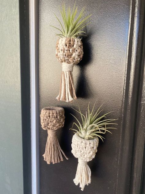 Flowers Wallpaper Room, Macrame Air Plant Hanger Diy, Aesthetic Rooms Ideas, Macrame Magnet, Small Macrame Projects, Macrame Air Plant Holder, Plant Magnets, Macrame Holder, Air Plants Diy