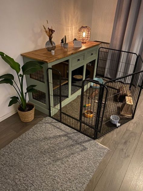 Indoor Rabbit House, Dog Room Design, Dog Nook, House Bunny, Hot Tub Small Backyard, Simple Small Backyard, Backyard Landscaping Flowers, Bunny Cage, Backyard Landscaping With Hot Tub