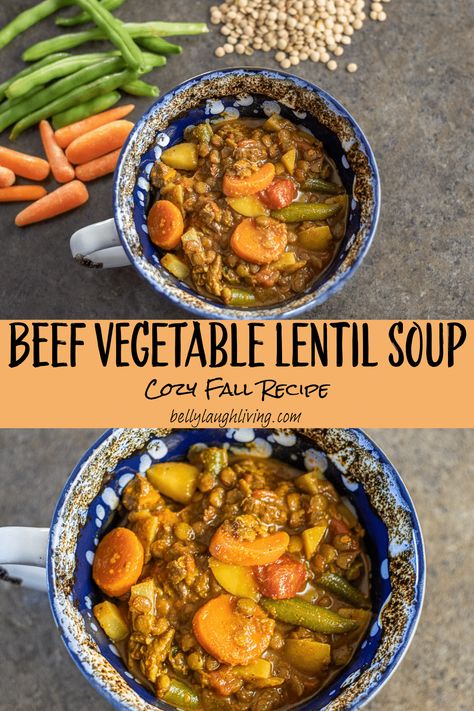 Cozy Beef Vegetable and Lentil Soup Recipe With Green Beans, Beef Lentil Soup, Beef Stew Soup, Green Beans And Carrots, Vegetable Lentil Soup, Green Lentil Soup, Lentil Recipes Easy, Fall Dinner Ideas, Lentil Vegetable Soup