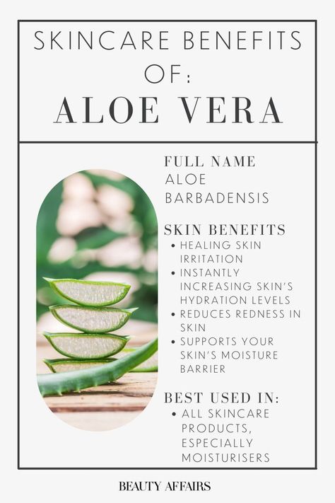 Do you know what the benefits of aloe vera are for your skin? This natural skincare ingredient is amazing for dry skin, reducing redness and so much more. Aloe Vera Skin Benefits, Benefits Of Aloe Vera, Aloe Vera Benefits, Aloe Vera For Skin, Natural Skin Care Ingredients, Natural Recipes, Skincare 101, Product Knowledge, Sustainable Beauty