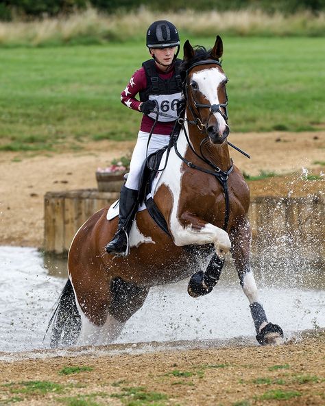 Another catch-up of portrait-oriented images to have sold from last Saturday's H&P Equine Events Unaffiliated One Day Event at the ever-fabulous Milton Keynes Equestrian Centre. Massive thanks to everyone who has persisted through the ordering issues. Touch wood, we seem to be out the other side of it now 🫶🐴📸 Cross Country Equestrian, Horse Paddock, Horse Images, Cross Country Jumps, Funny Horse Pictures, Show Jumping Horses, Equestrian Aesthetic, Eventing Horses, English Horse