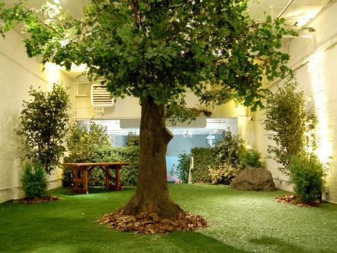 Would this work for cat room?  The Openhouse Gallery indoor park in SoHo features artificial grass, real rocks and dried leaves. Indoor Park, Indoor Dog Park, Cat Playground Outdoor, Installing Artificial Turf, Indoor Tree, Cat Playground, Indoor Dog, Artificial Turf, Forest Wallpaper